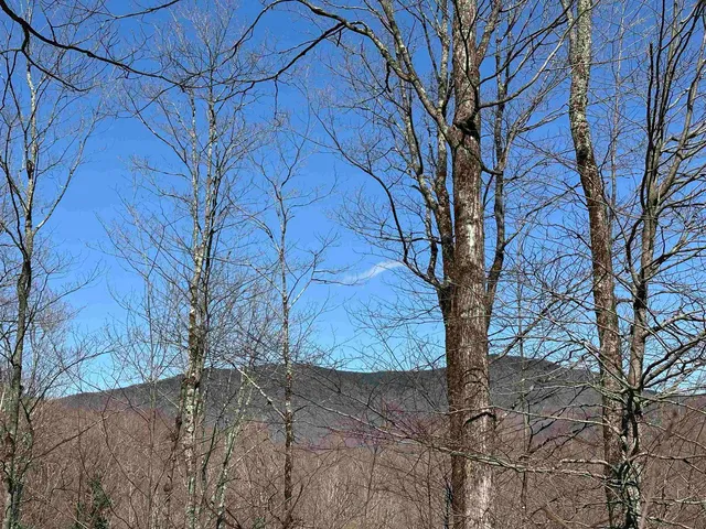 $99,000 | 0 Ice Pond Road, Pittsford, VT 05763