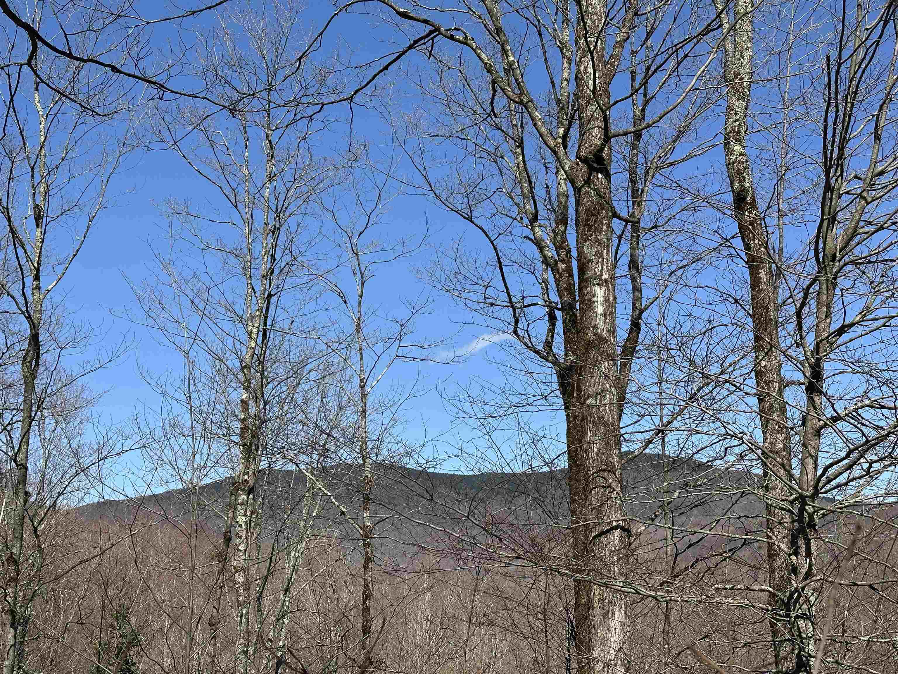 0 Ice Pond Road Pittsford, VT 05763 - Photo 2 of 58