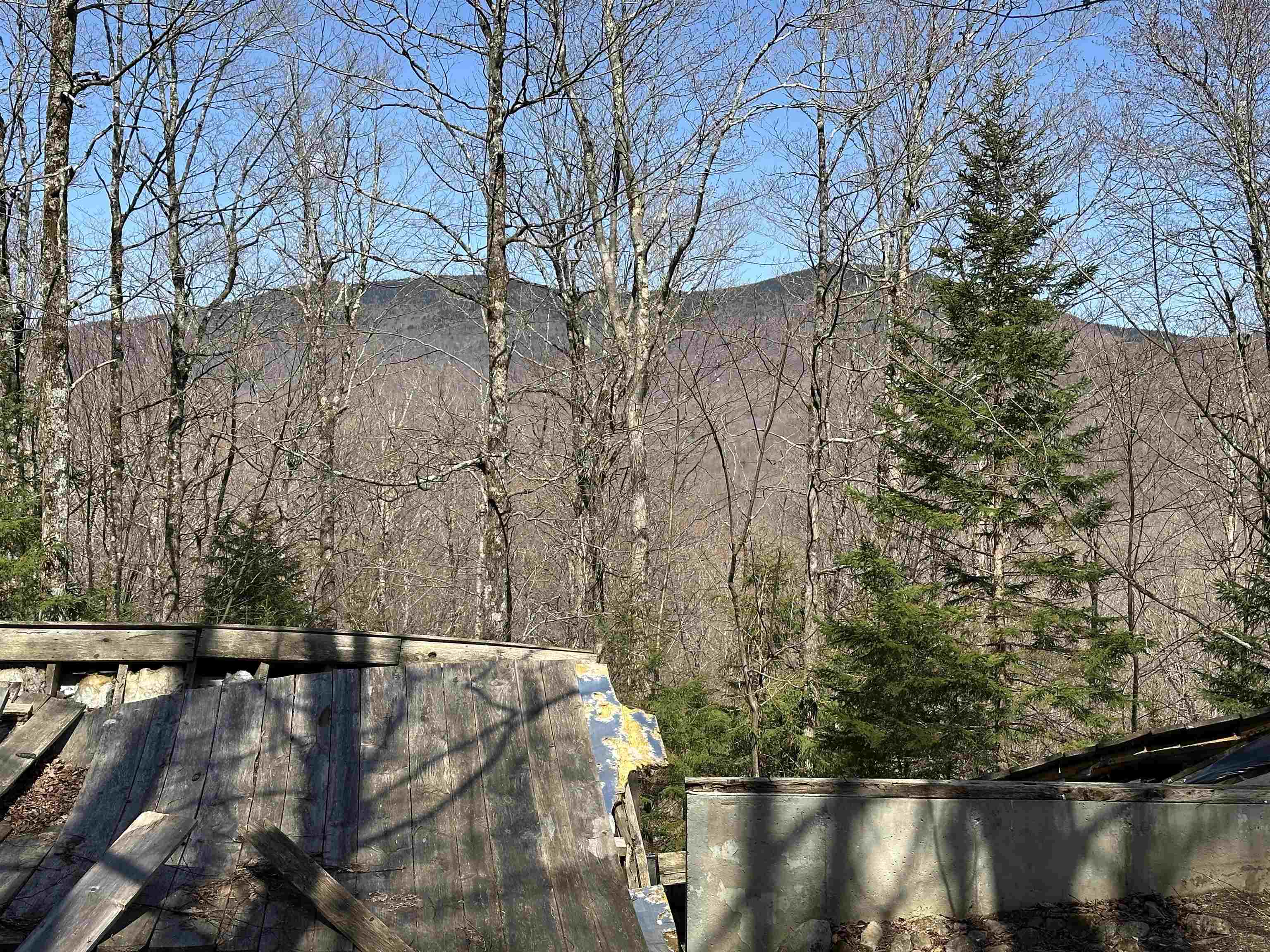 0 Ice Pond Road Pittsford, VT 05763 - Photo 23 of 58