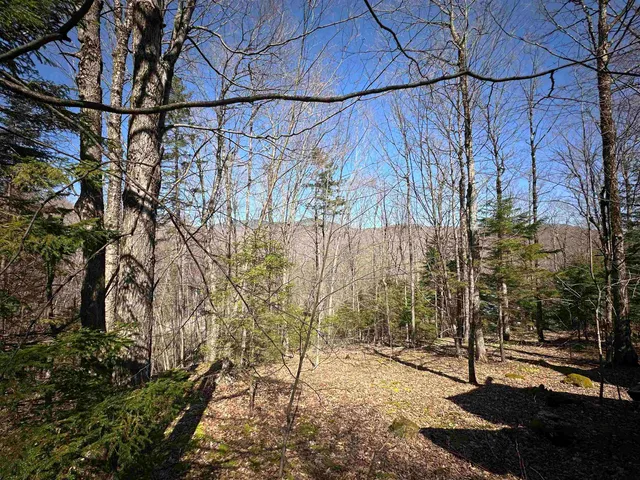 $99,000 | 0 Ice Pond Road, Pittsford, VT 05763