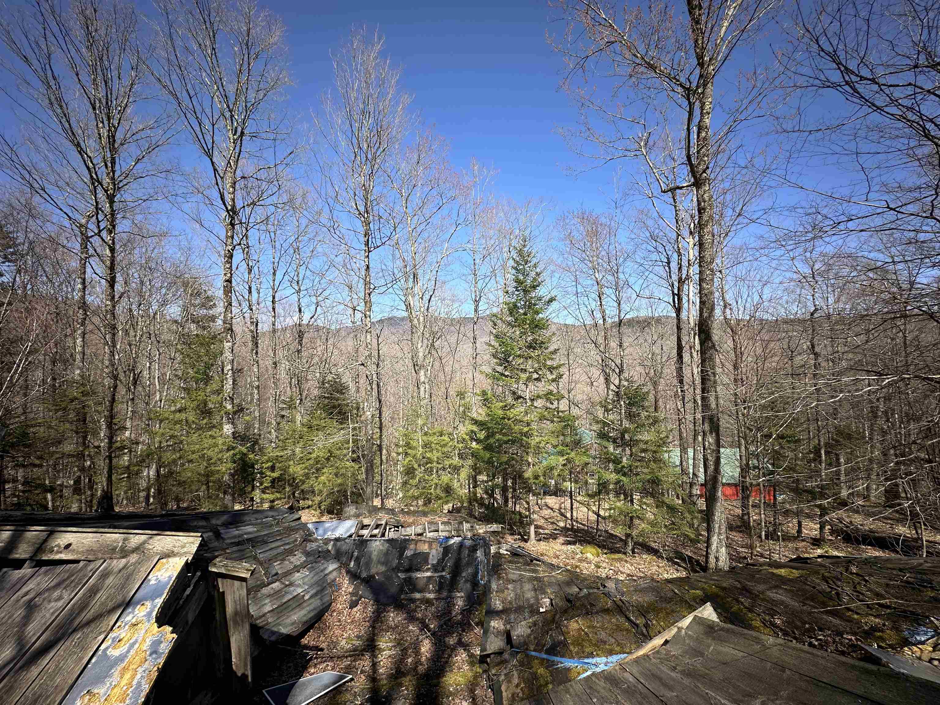 0 Ice Pond Road Pittsford, VT 05763 - Photo 29 of 58