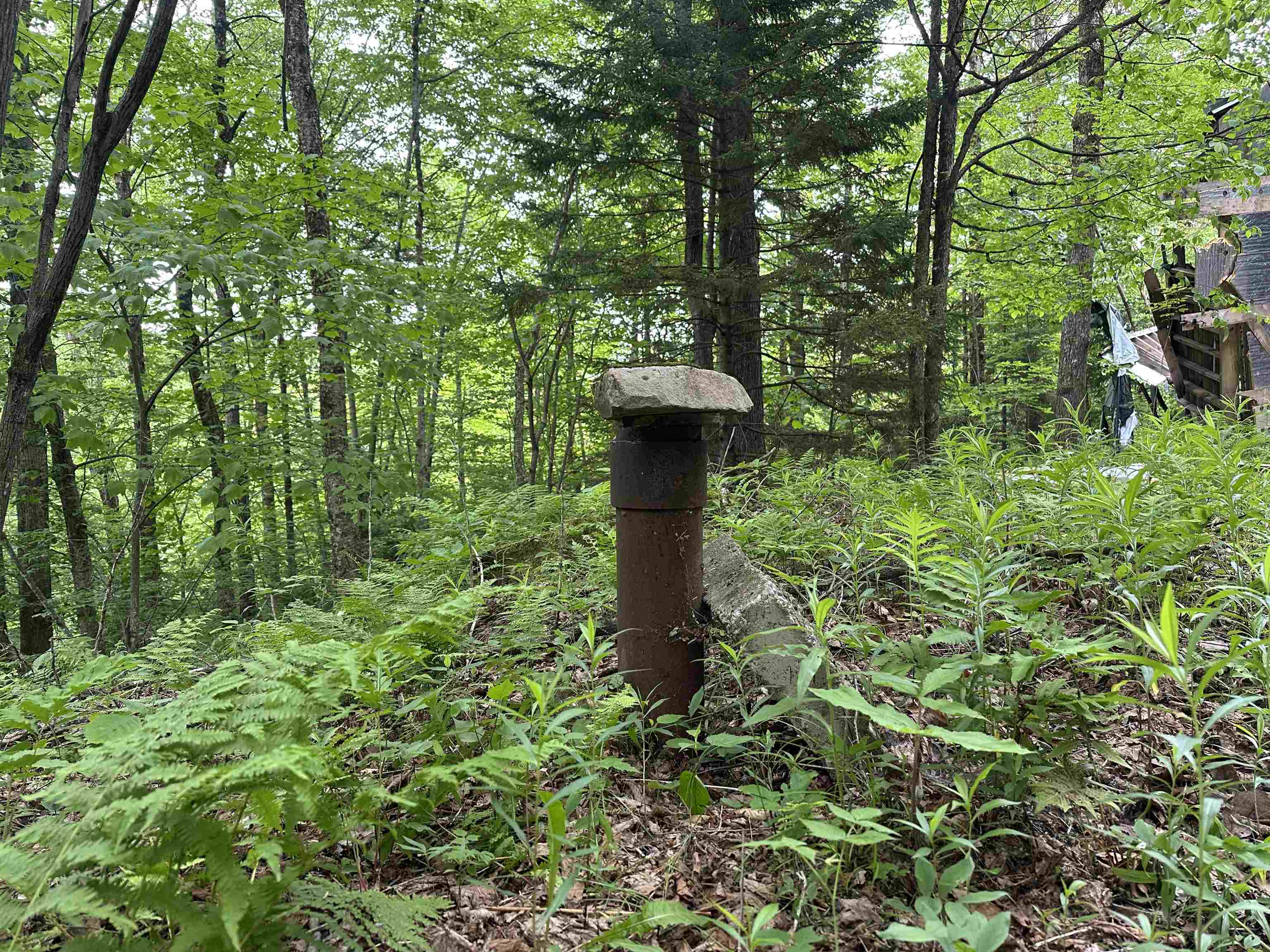 0 Ice Pond Road Pittsford, VT 05763 - Photo 3 of 58