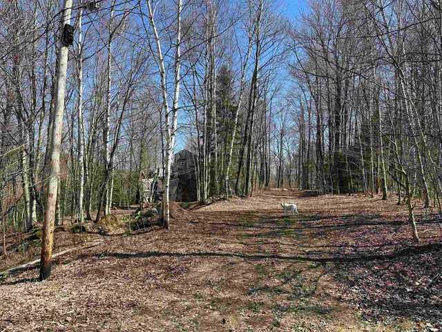 $99,000 | 0 Ice Pond Road, Pittsford, VT 05763