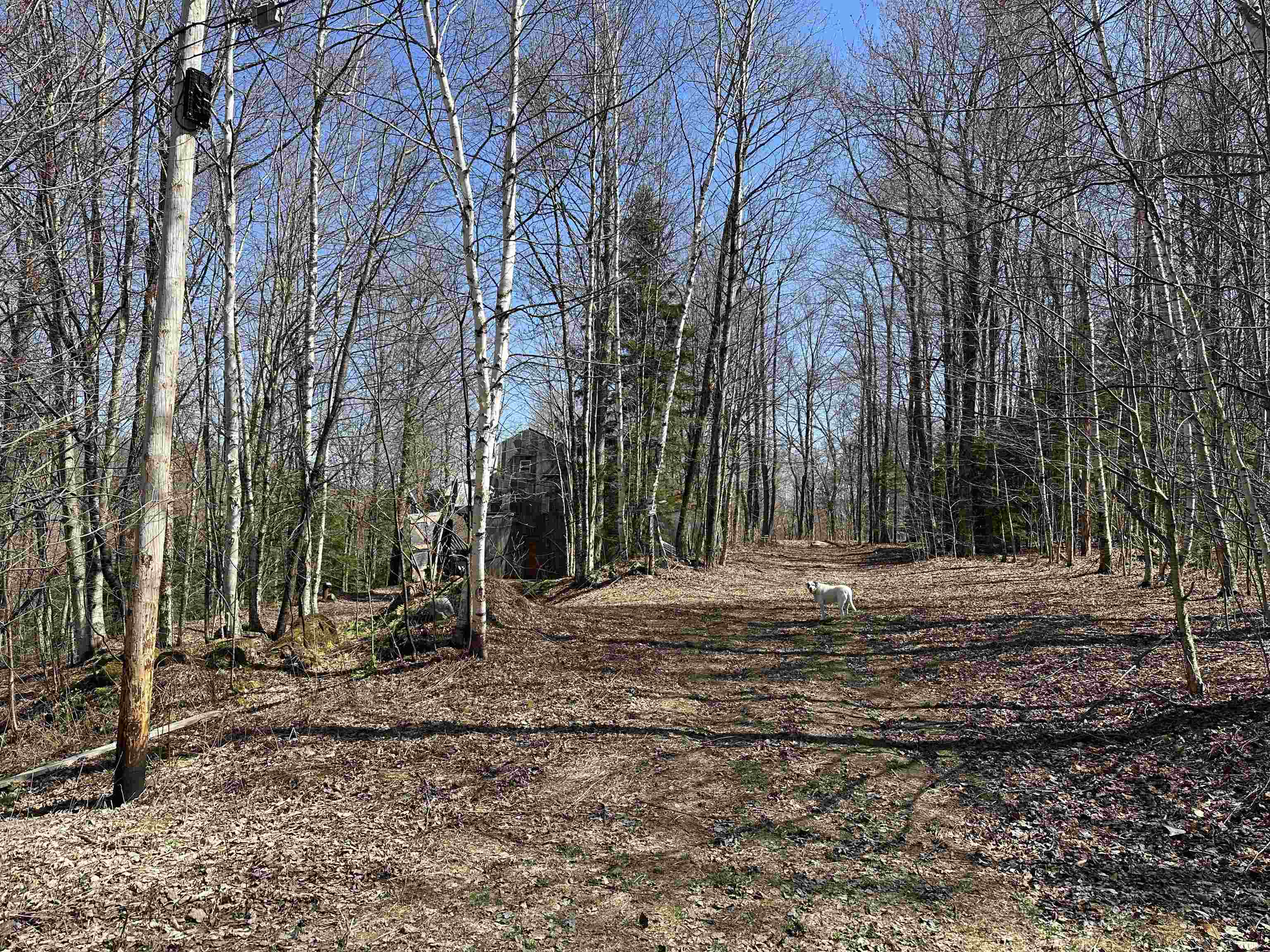 0 Ice Pond Road Pittsford, VT 05763 - Photo 32 of 58