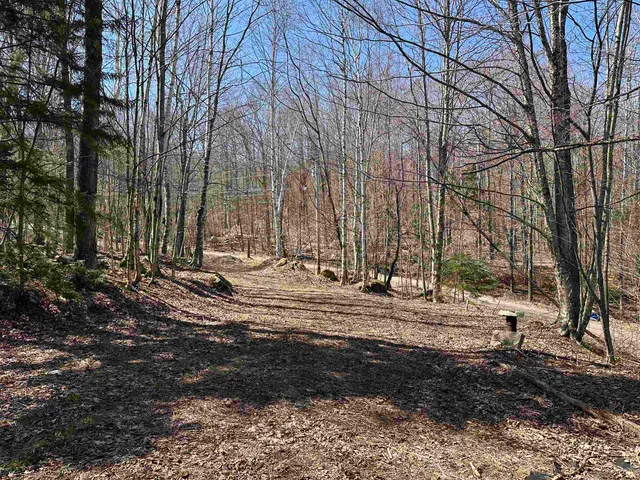 $99,000 | 0 Ice Pond Road, Pittsford, VT 05763