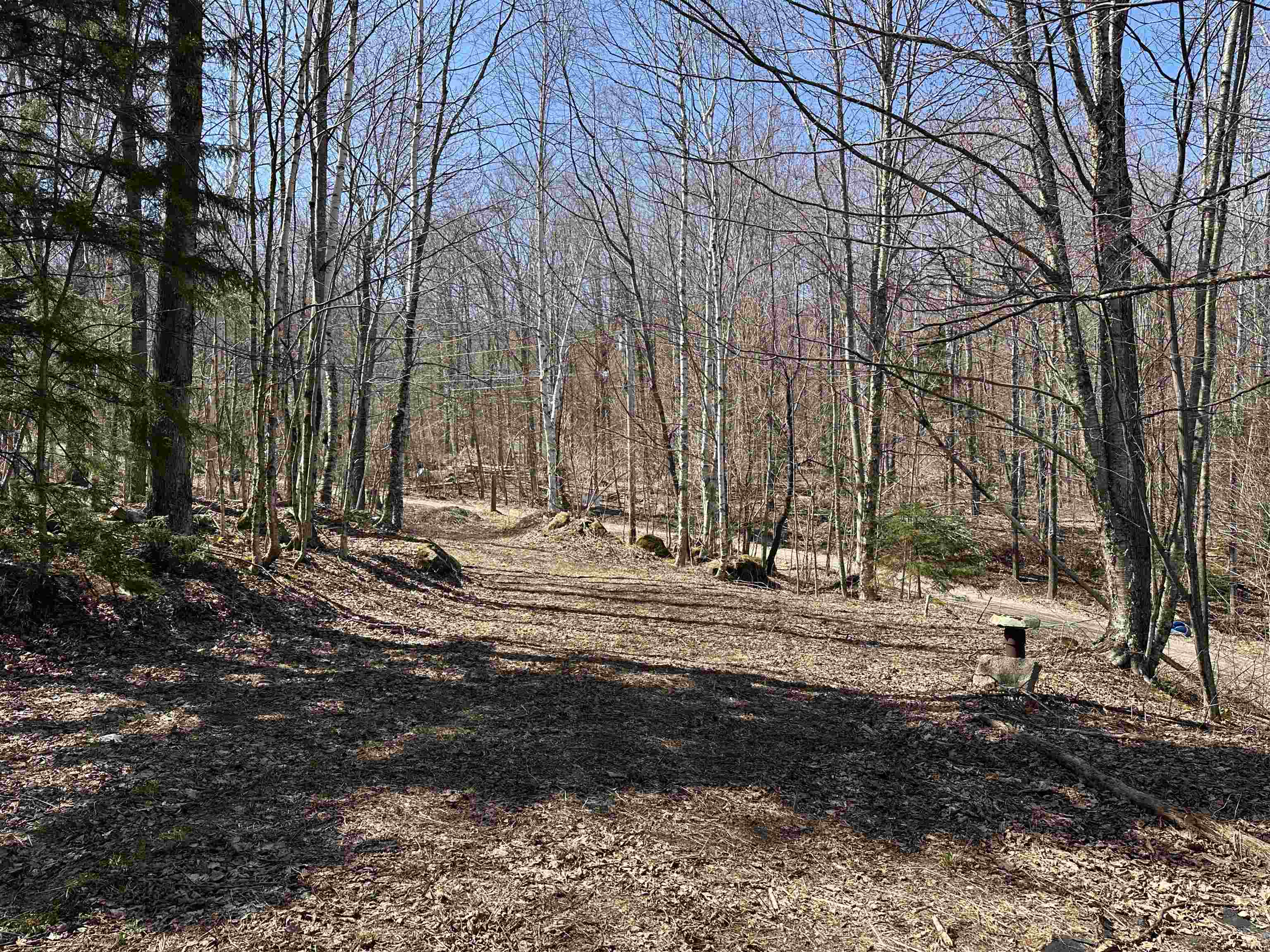 0 Ice Pond Road Pittsford, VT 05763 - Photo 33 of 58