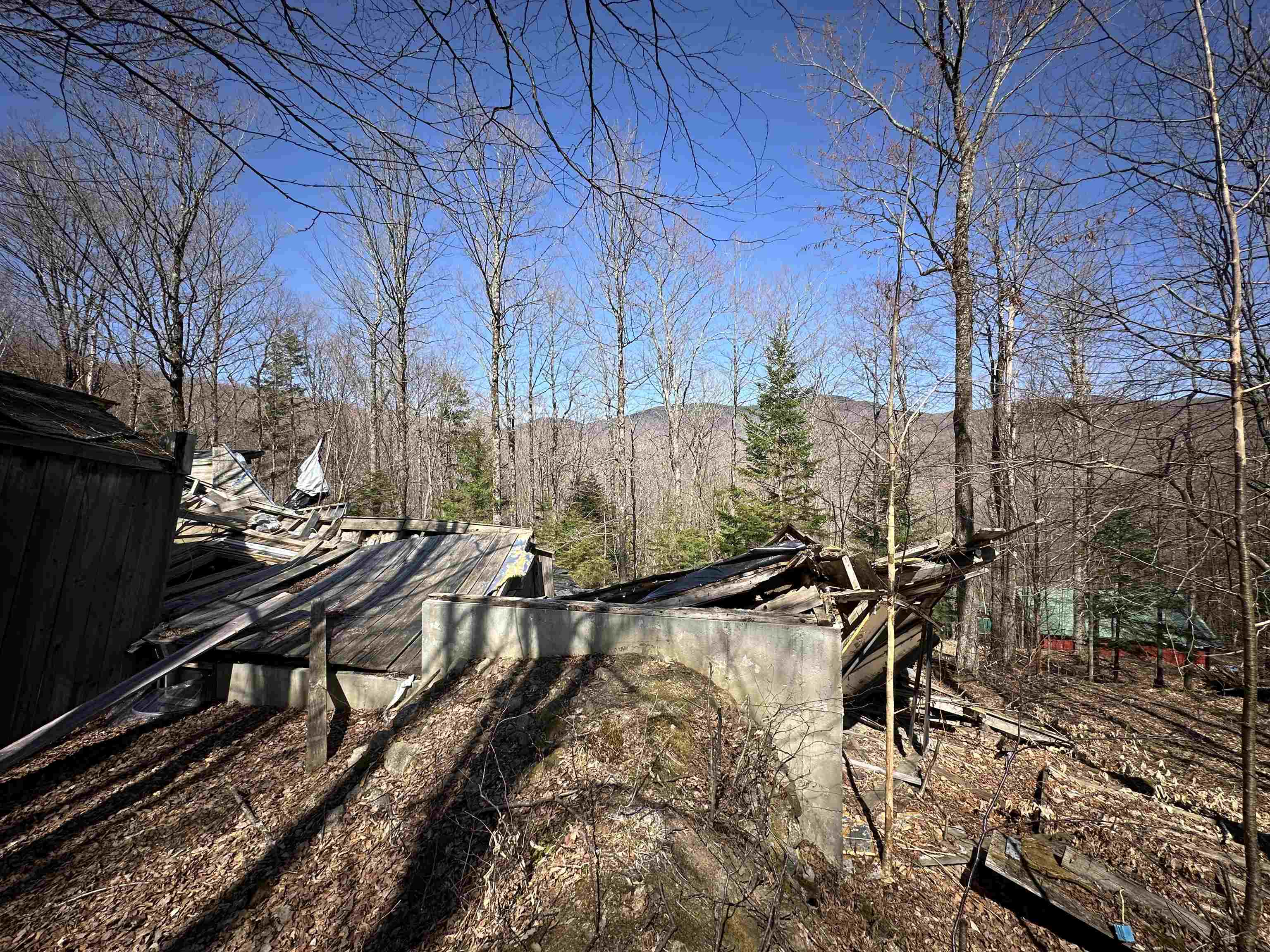 0 Ice Pond Road Pittsford, VT 05763 - Photo 37 of 58