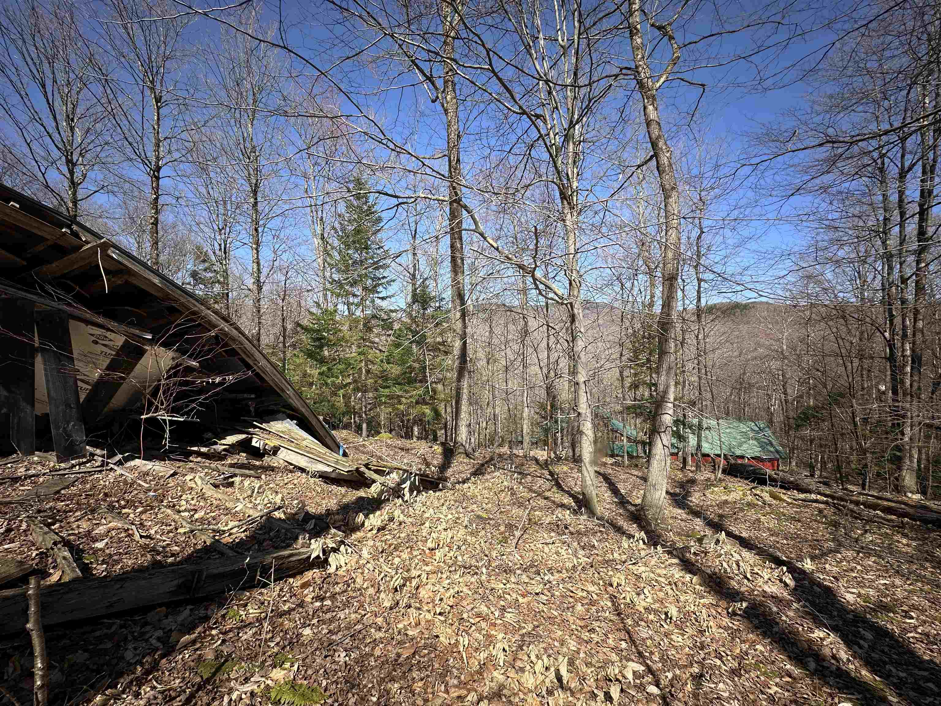 0 Ice Pond Road Pittsford, VT 05763 - Photo 38 of 58