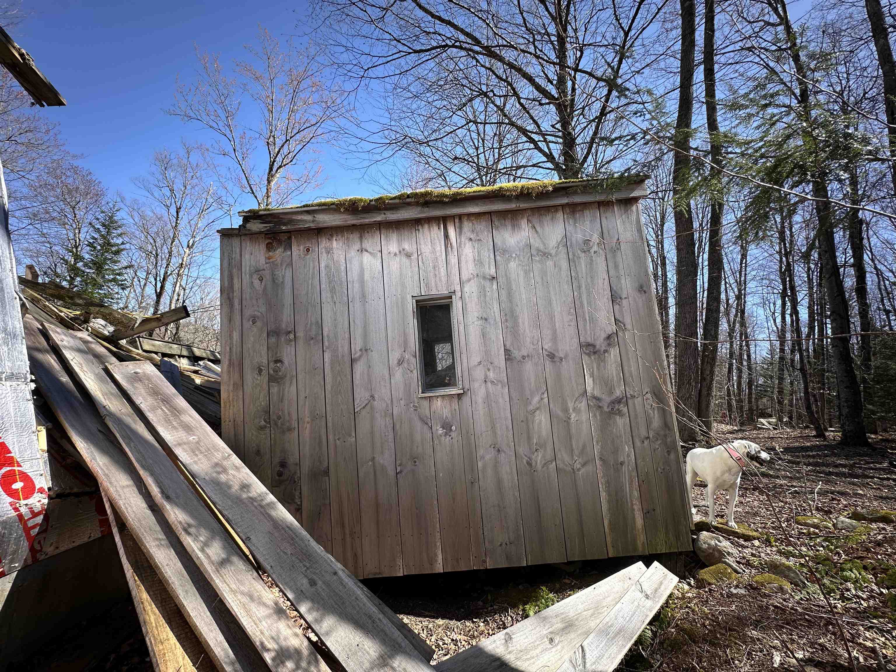 0 Ice Pond Road Pittsford, VT 05763 - Photo 41 of 58