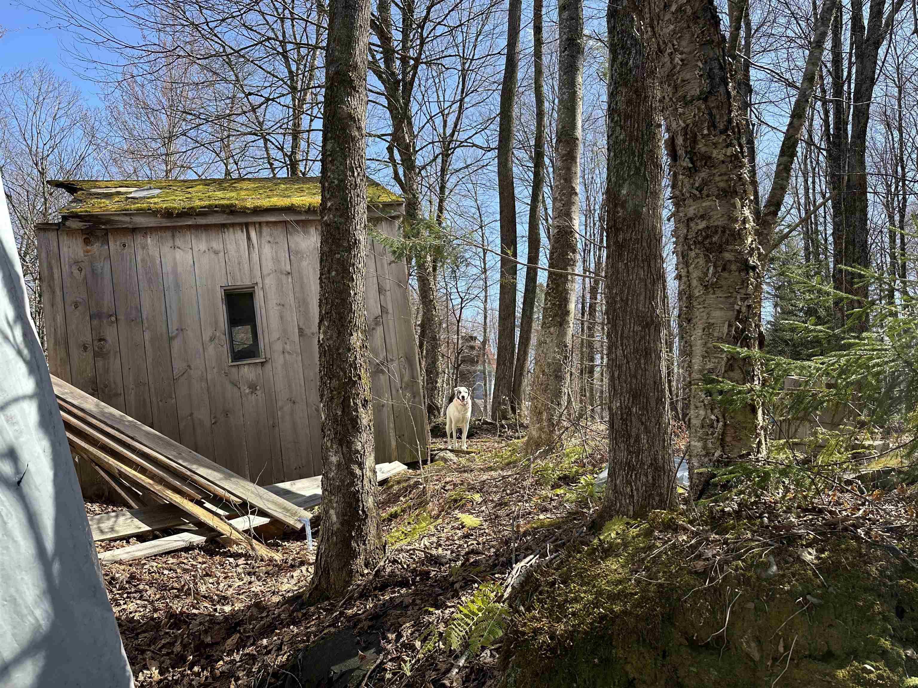 0 Ice Pond Road Pittsford, VT 05763 - Photo 42 of 58