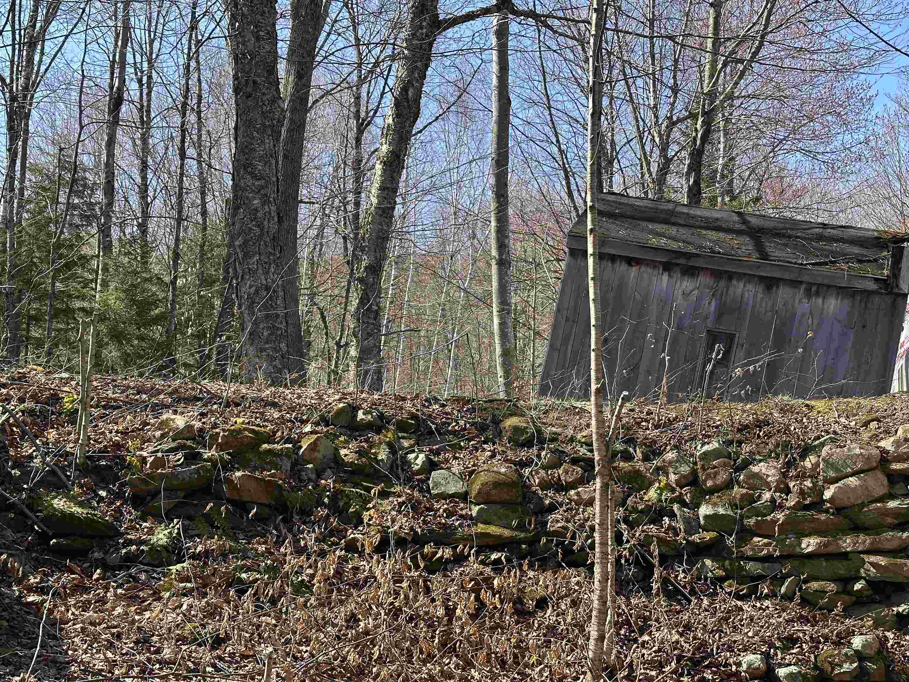 0 Ice Pond Road Pittsford, VT 05763 - Photo 49 of 58