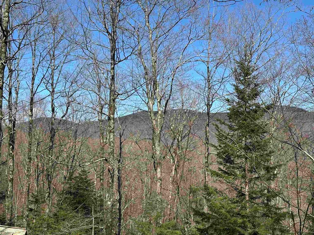 $99,000 | 0 Ice Pond Road, Pittsford, VT 05763