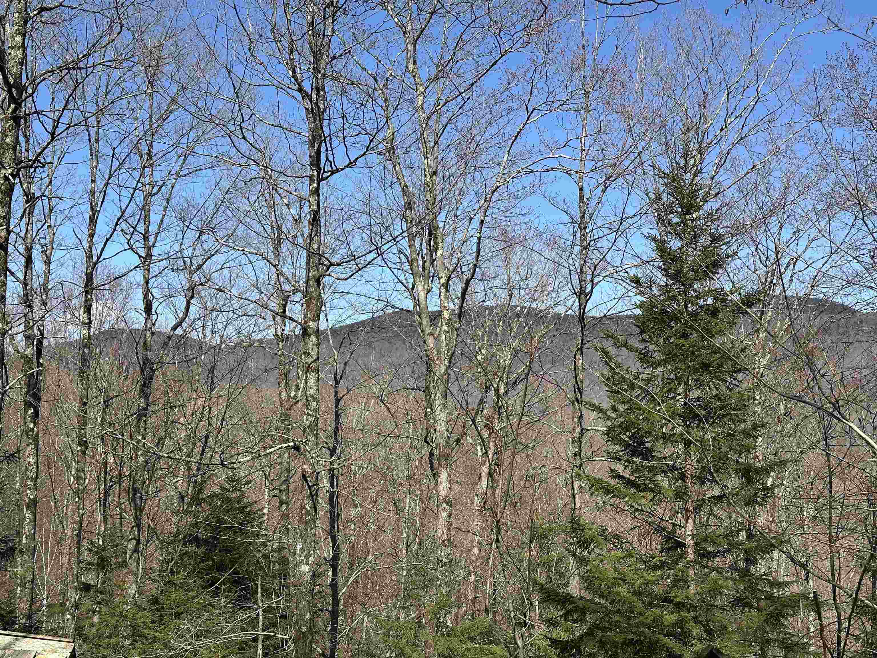 0 Ice Pond Road Pittsford, VT 05763 - Photo 5 of 58