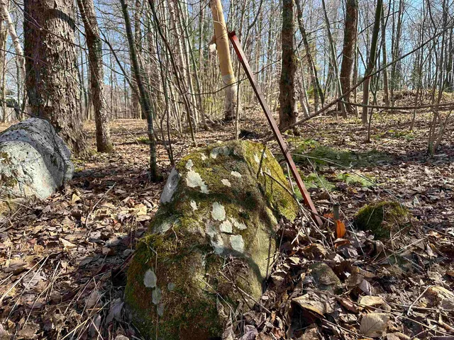 $99,000 | 0 Ice Pond Road, Pittsford, VT 05763