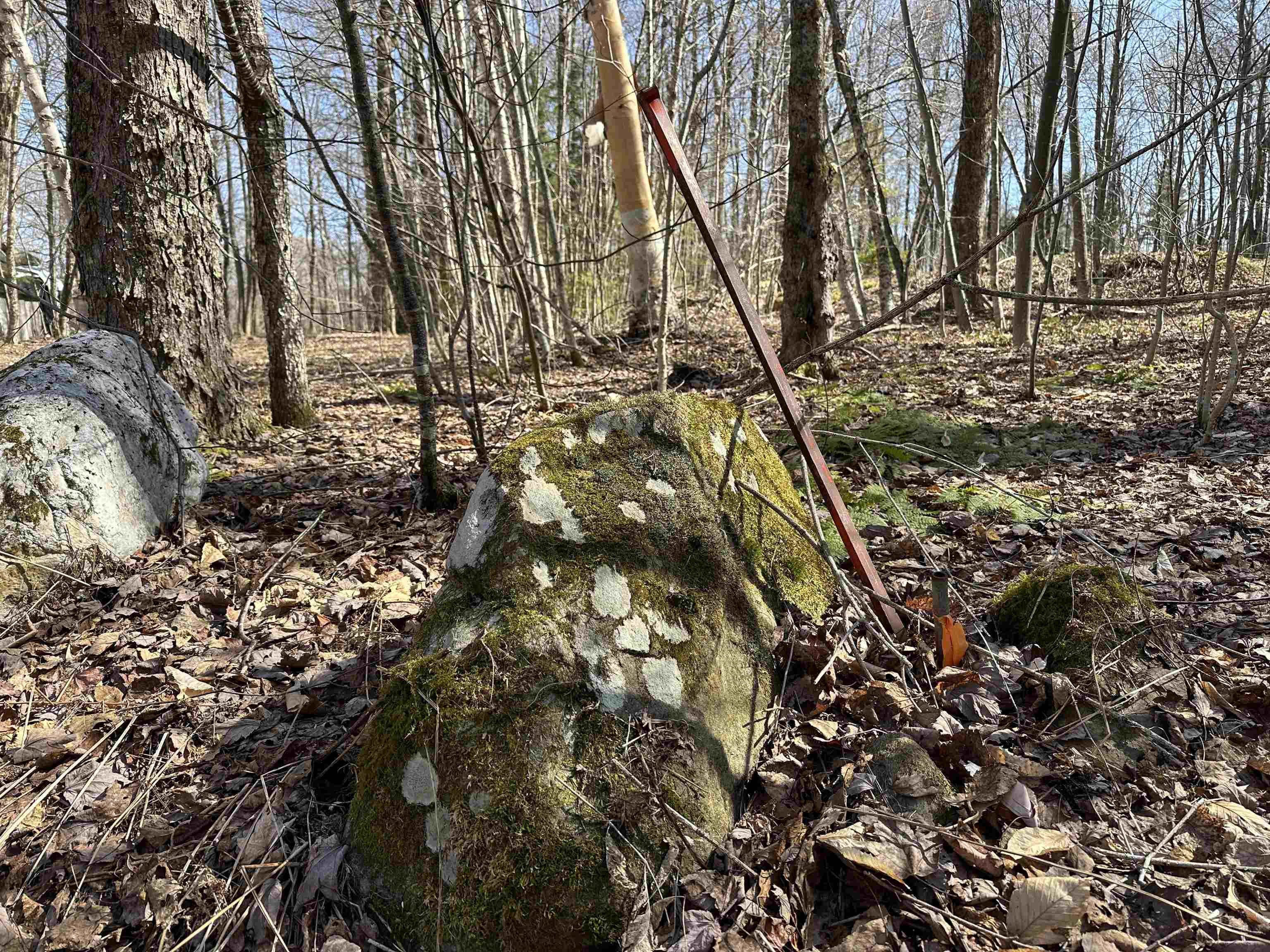 0 Ice Pond Road Pittsford, VT 05763 - Photo 53 of 58