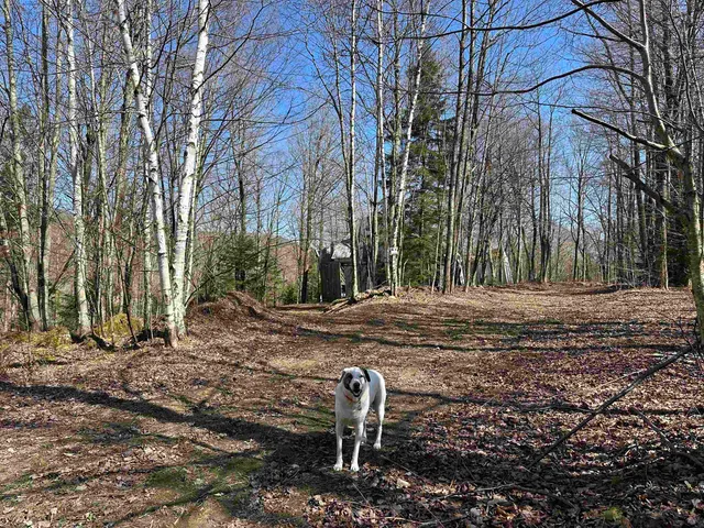 $99,000 | 0 Ice Pond Road, Pittsford, VT 05763