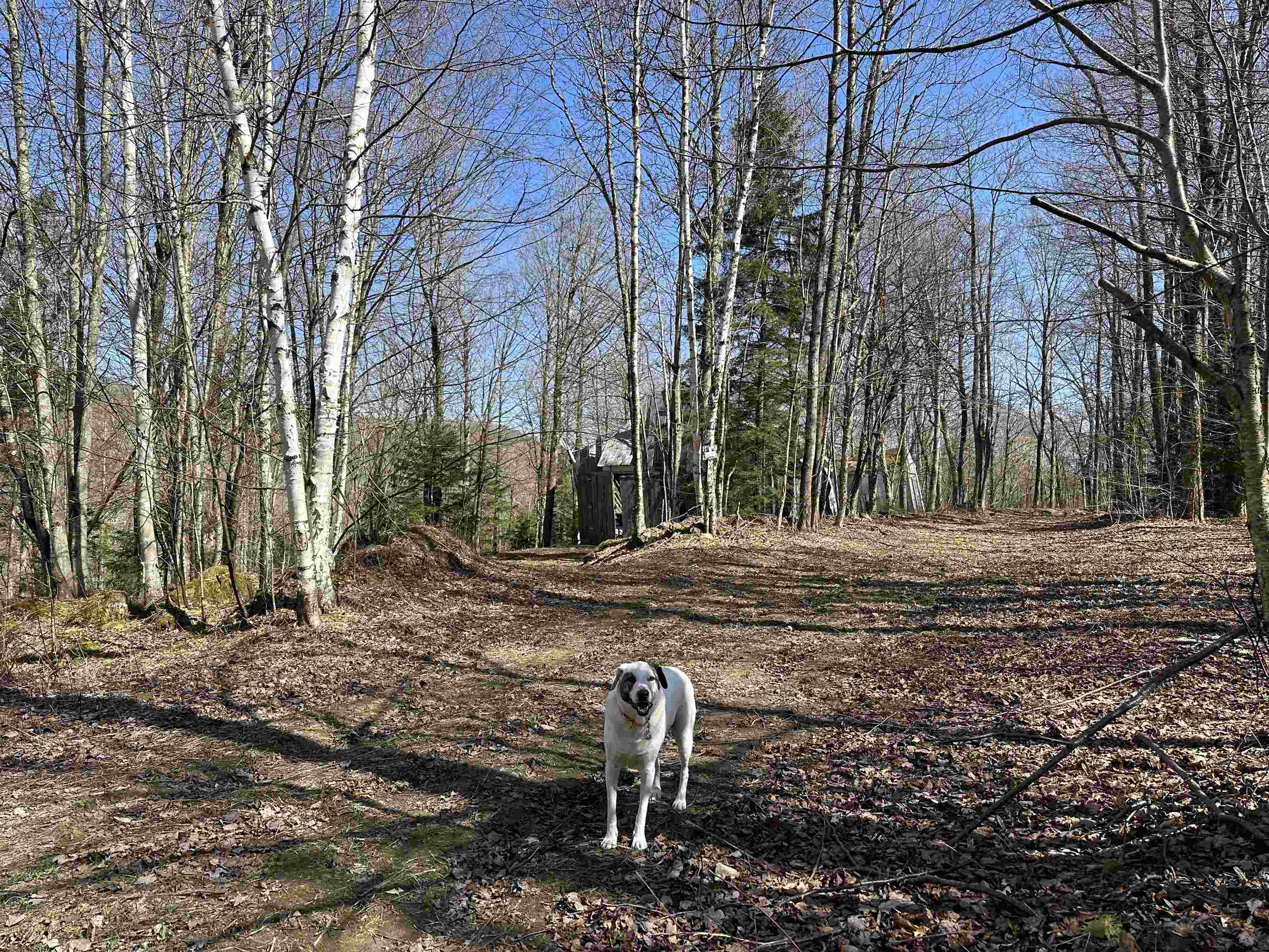 0 Ice Pond Road Pittsford, VT 05763 - Photo 54 of 58