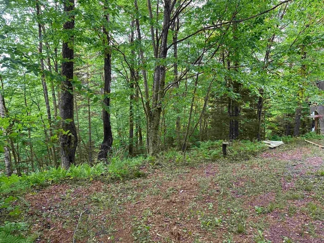 $99,000 | 0 Ice Pond Road, Pittsford, VT 05763