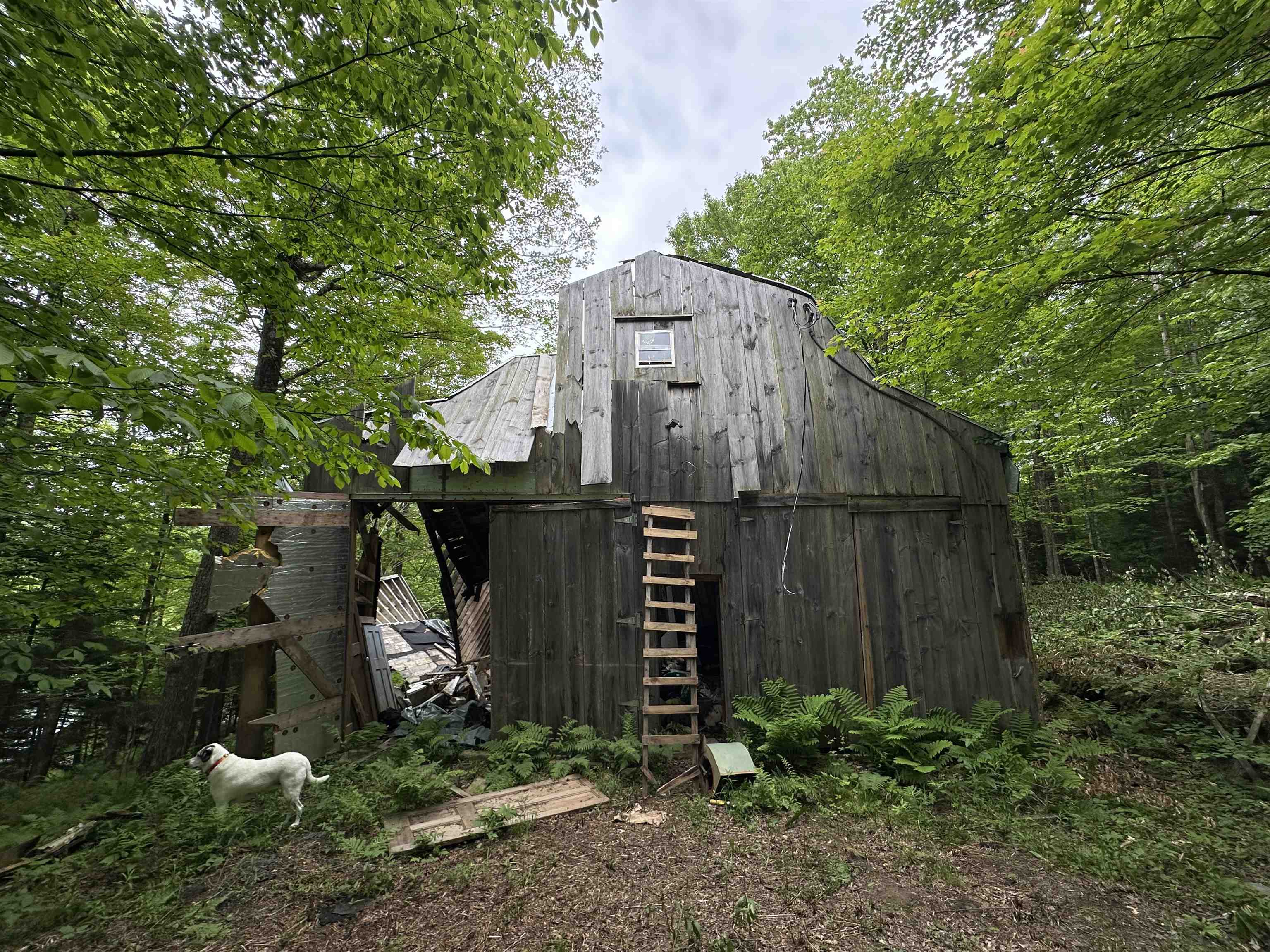 0 Ice Pond Road Pittsford, VT 05763 - Photo 8 of 58