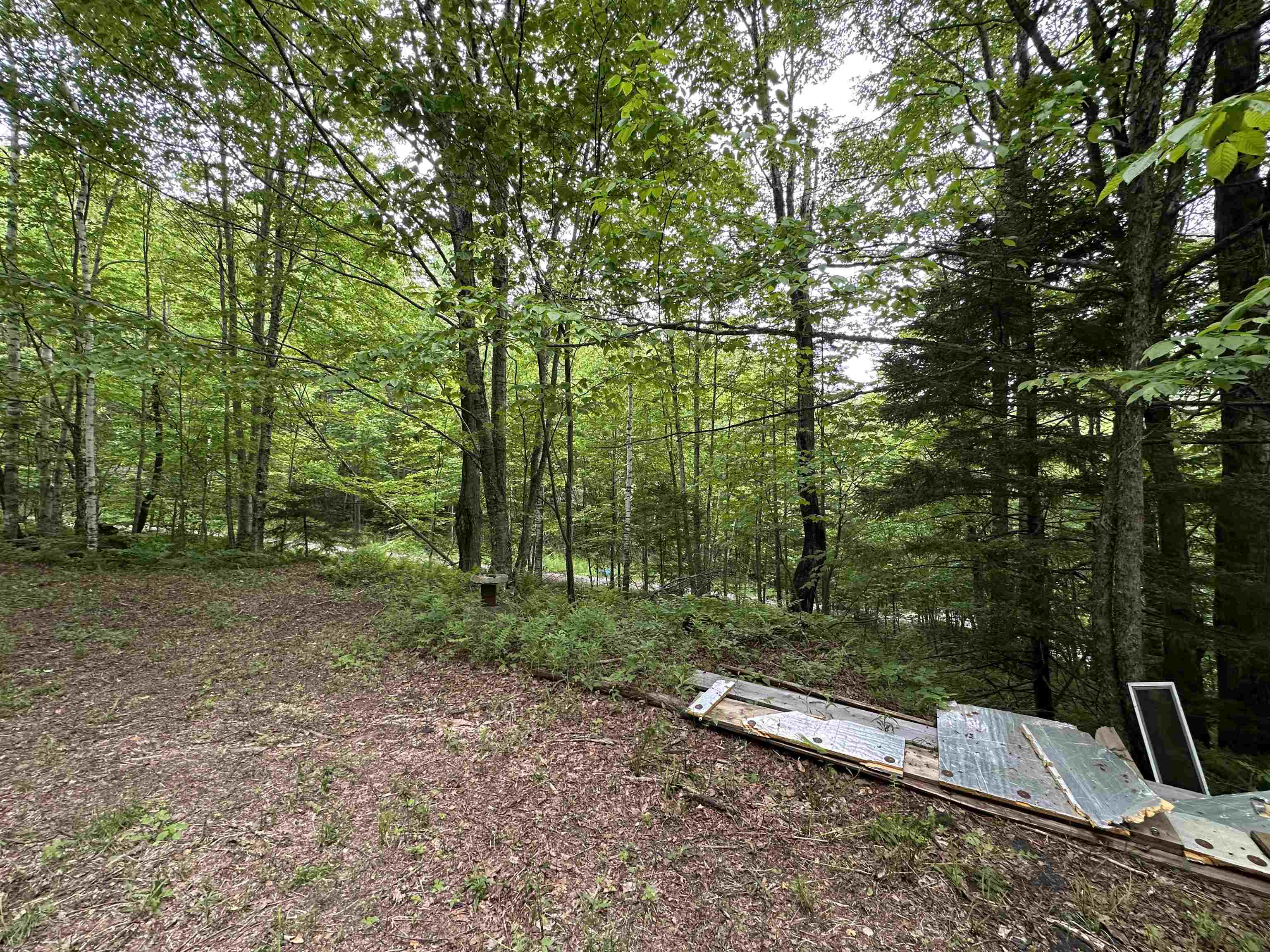 0 Ice Pond Road Pittsford, VT 05763 - Photo 9 of 58