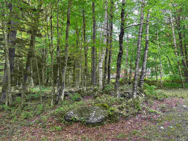 $99,000 | 0 Ice Pond Road, Pittsford, VT 05763