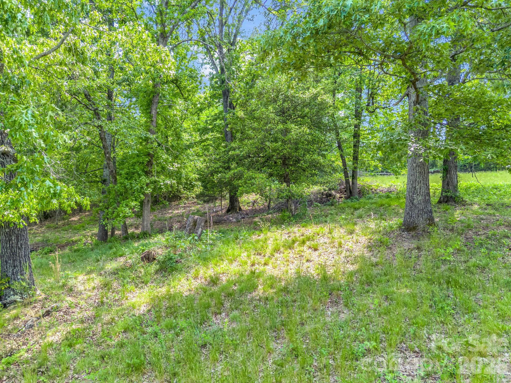0 Smith Grove Road Forest City, NC 28043 - Photo 6 of 19