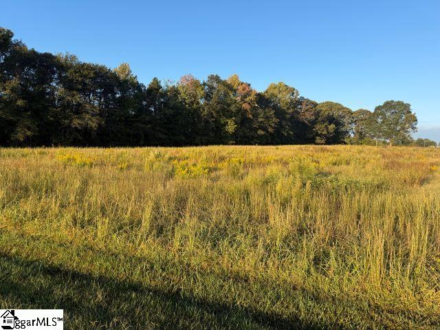 1111 North Green River Road Gaffney, SC 29341 - Photo 3 of 4
