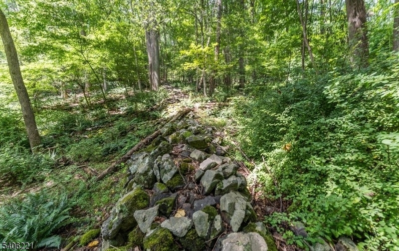 0 Sweet Hollow Road Milford, NJ 08848 - Photo 9 of 14