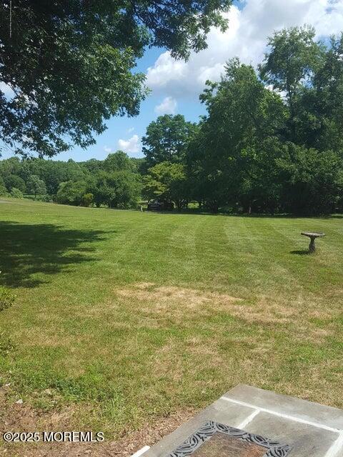 15 Windsor Place Colts Neck, NJ 07722 - Photo 4 of 21 Yard View