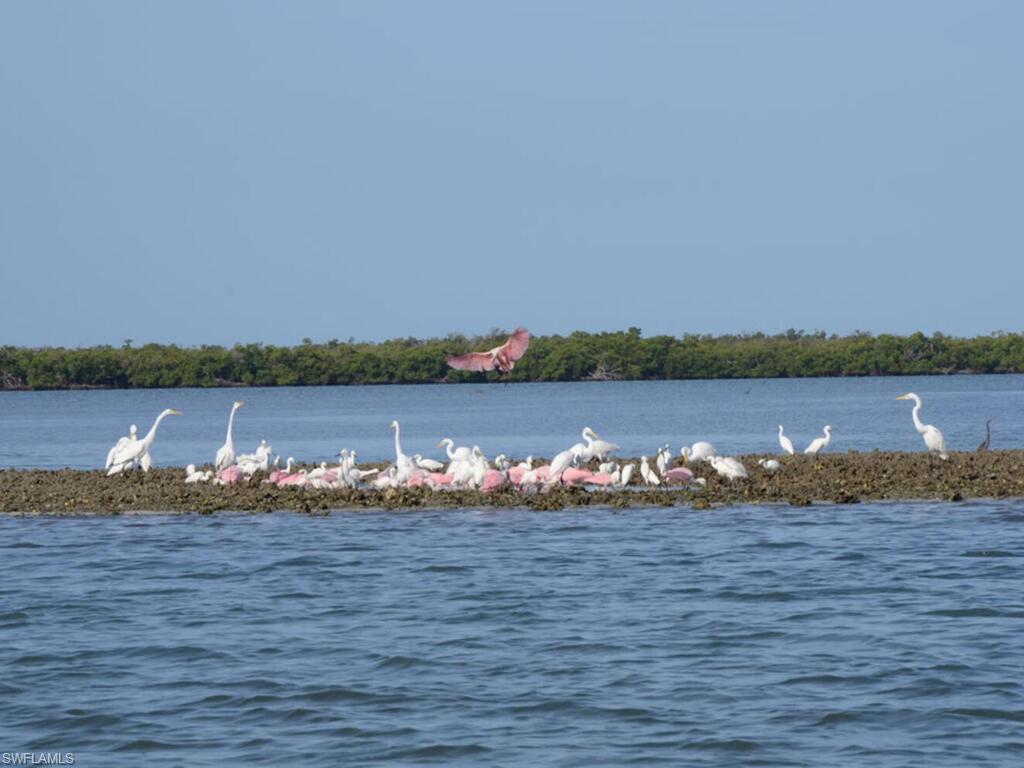111 Morning Star Cay Naples, FL 34114 - Photo 43 of 47