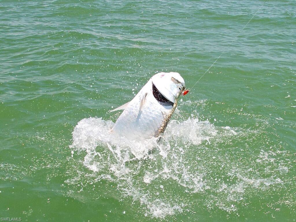 111 Morning Star Cay Naples, FL 34114 - Photo 45 of 47