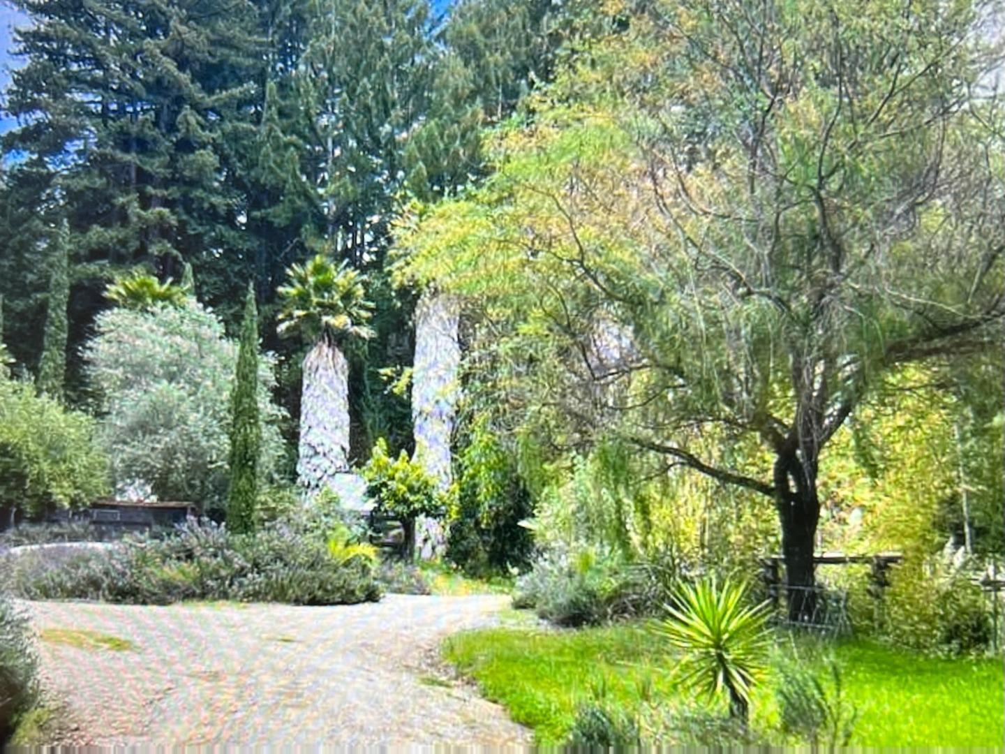 a view of a garden