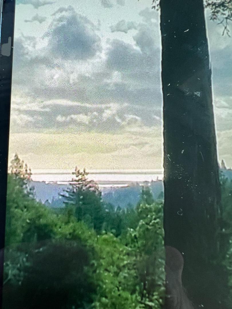 1385 Amaya Ridge Road Los Gatos, CA 95033 - Photo 16 of 35