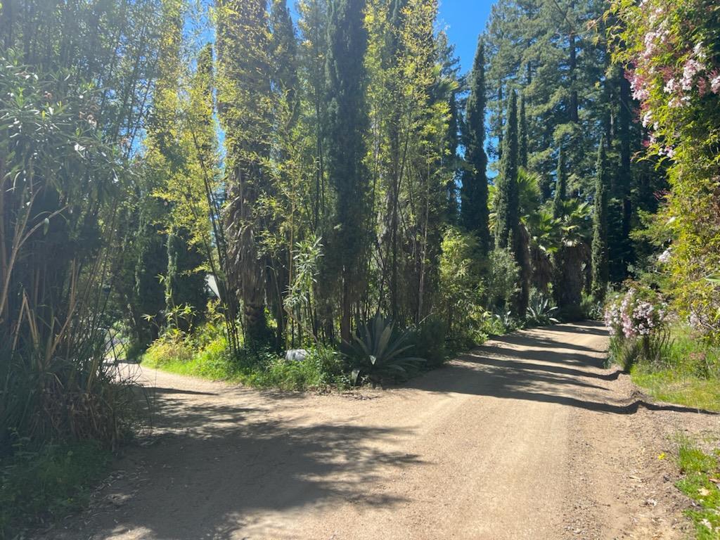 1385 Amaya Ridge Road Los Gatos, CA 95033 - Photo 17 of 35 a view of a yard in front of house