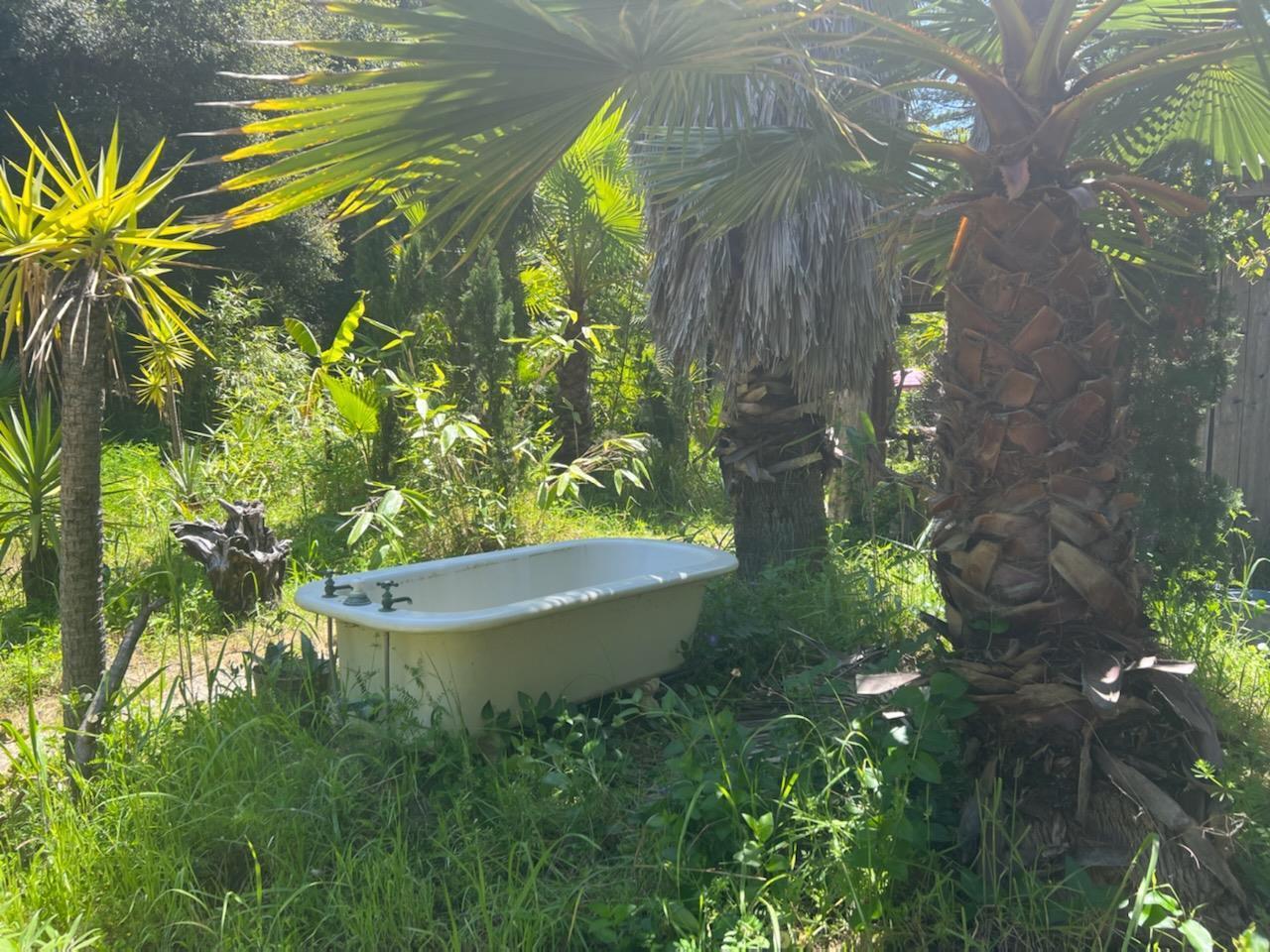 1385 Amaya Ridge Road Los Gatos, CA 95033 - Photo 25 of 35 a view of a garden