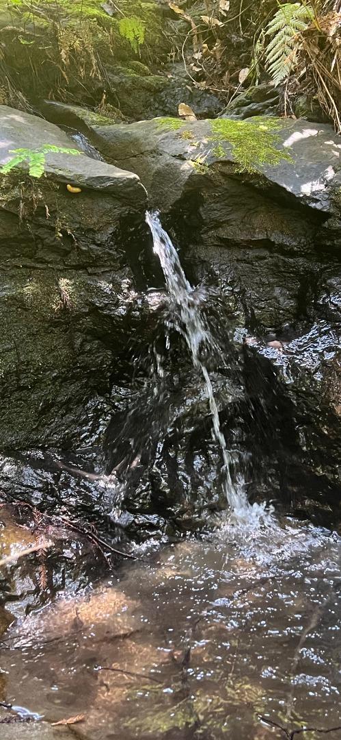 1385 Amaya Ridge Road Los Gatos, CA 95033 - Photo 26 of 35 a view of an ocean view