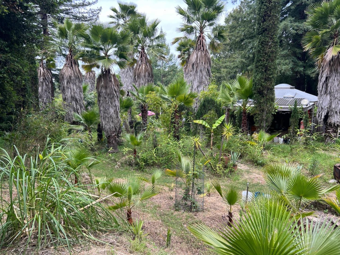 1385 Amaya Ridge Road Los Gatos, CA 95033 - Photo 27 of 35 a backyard of a house with a yard and outdoor seating