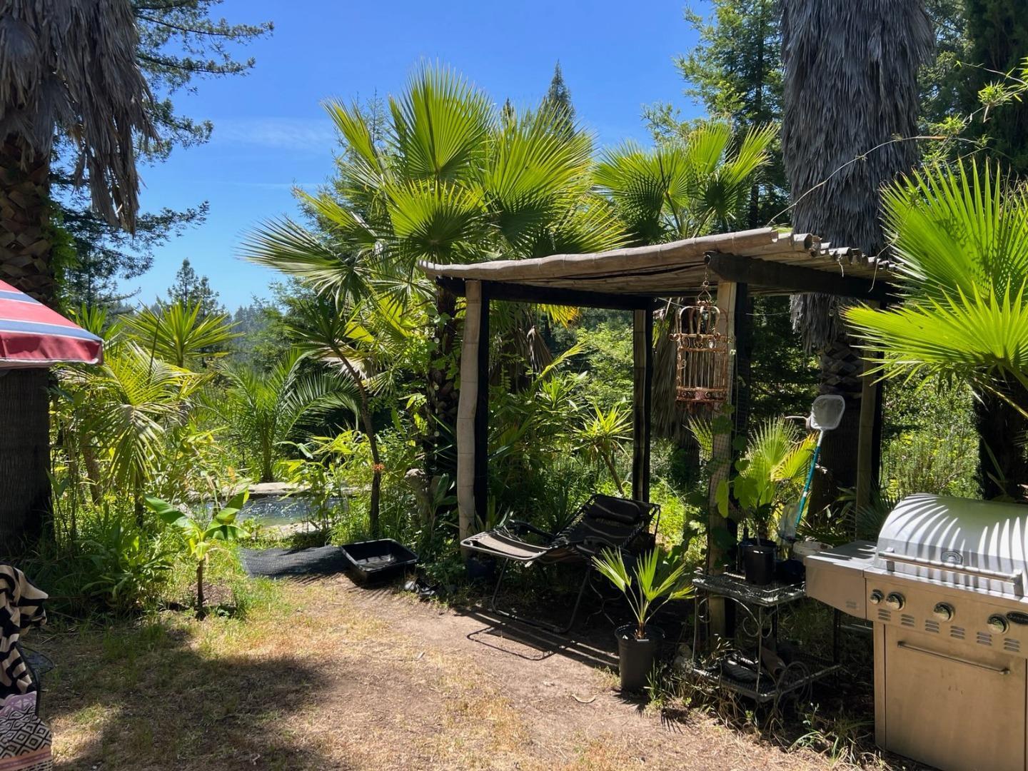 1385 Amaya Ridge Road Los Gatos, CA 95033 - Photo 30 of 35 a view of a garden with plants