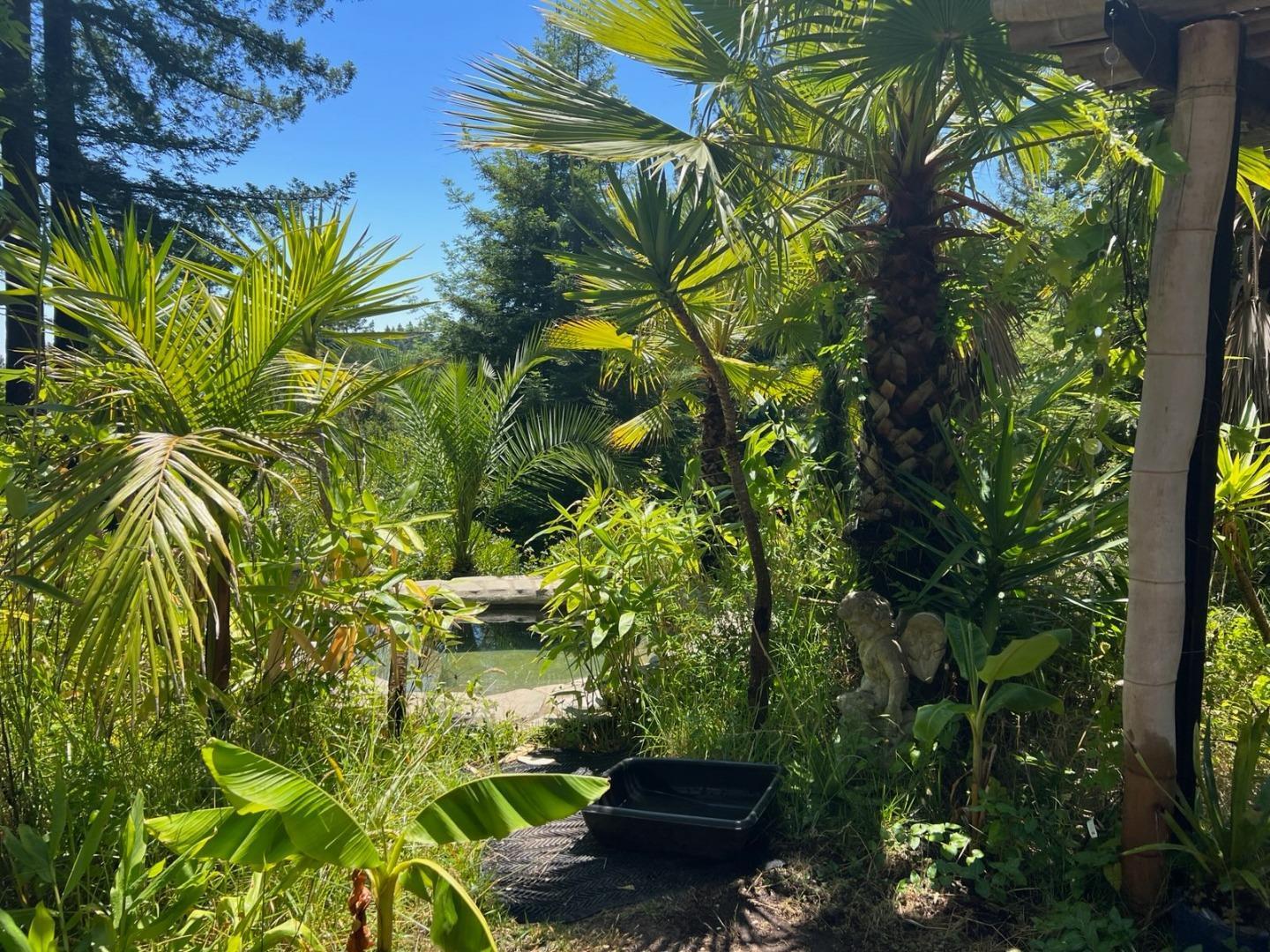 1385 Amaya Ridge Road Los Gatos, CA 95033 - Photo 31 of 35 a backyard of a house with lots of green space and a fountain