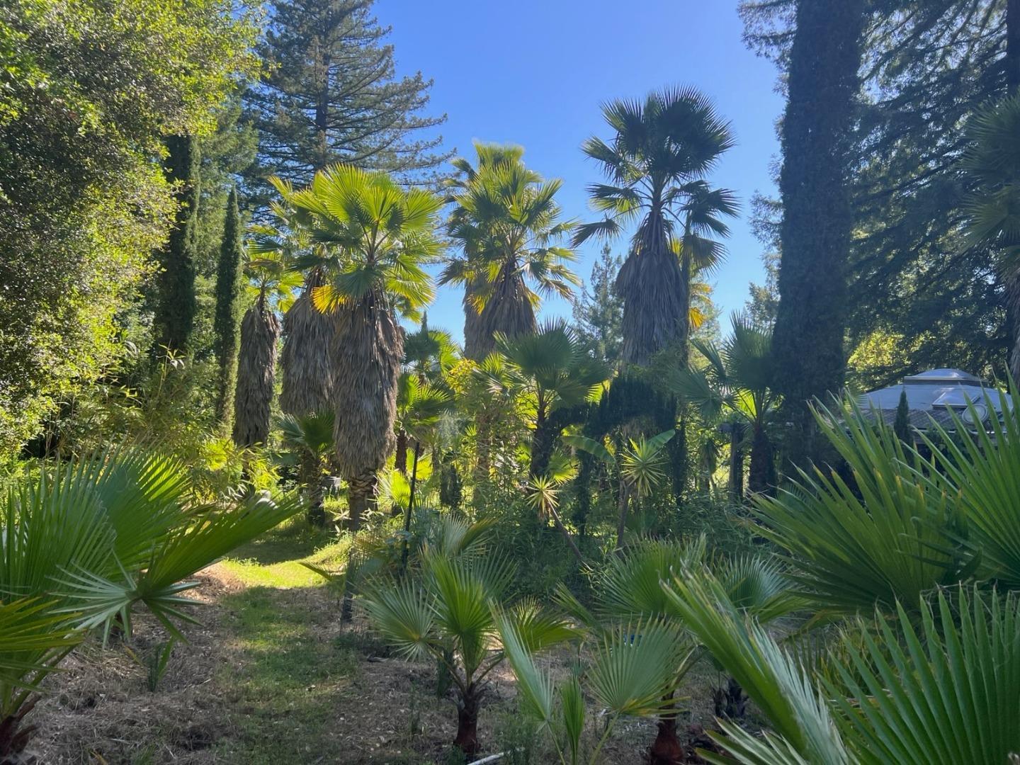 1385 Amaya Ridge Road Los Gatos, CA 95033 - Photo 32 of 35