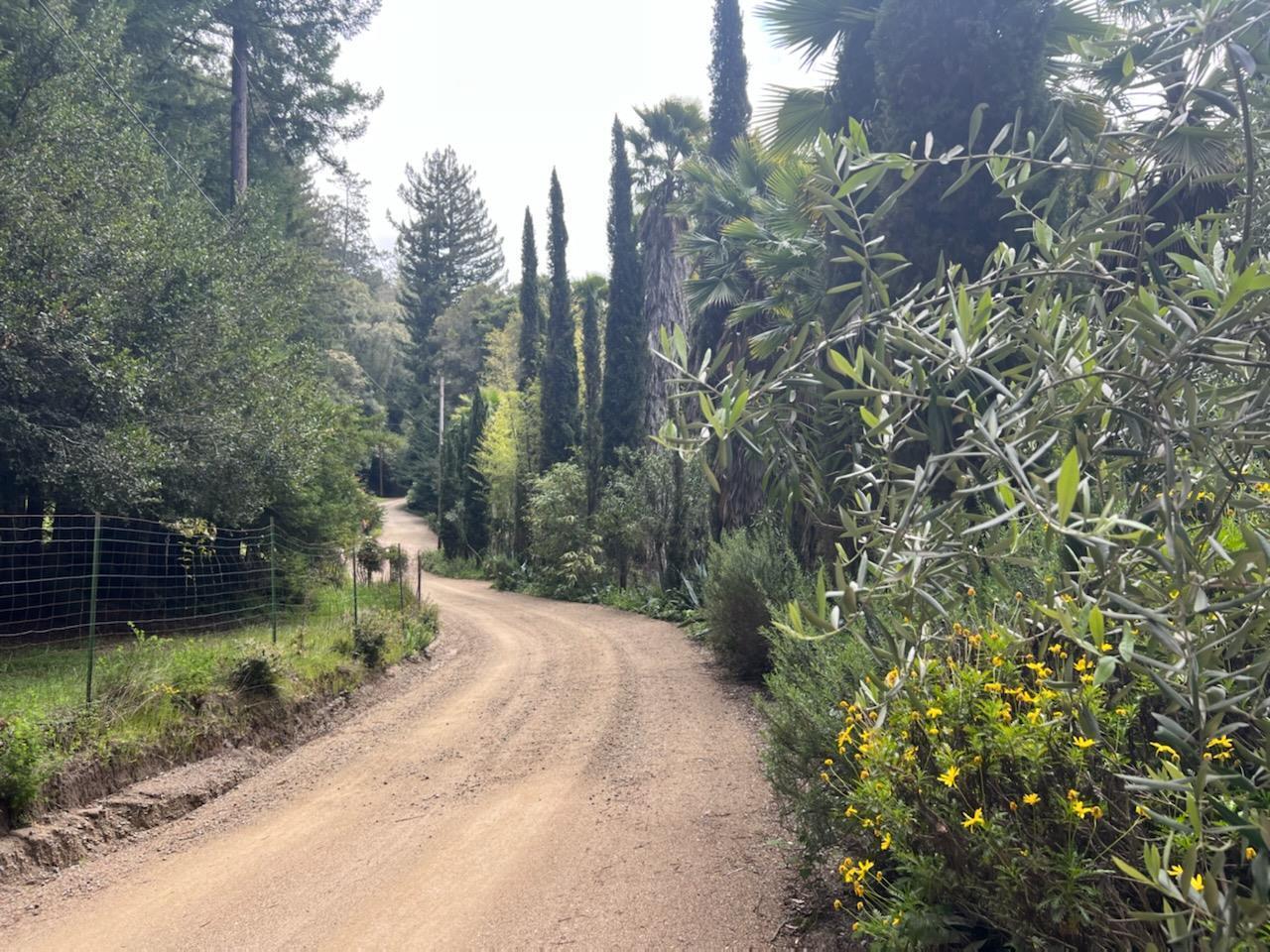 1385 Amaya Ridge Road Los Gatos, CA 95033 - Photo 5 of 35 a view of a pathway with a park