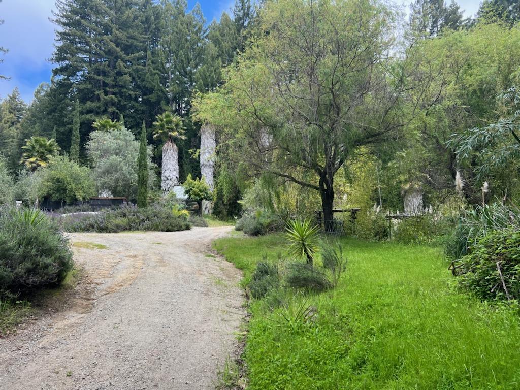 1385 Amaya Ridge Road Los Gatos, CA 95033 - Photo 7 of 35 a view of backyard with green space