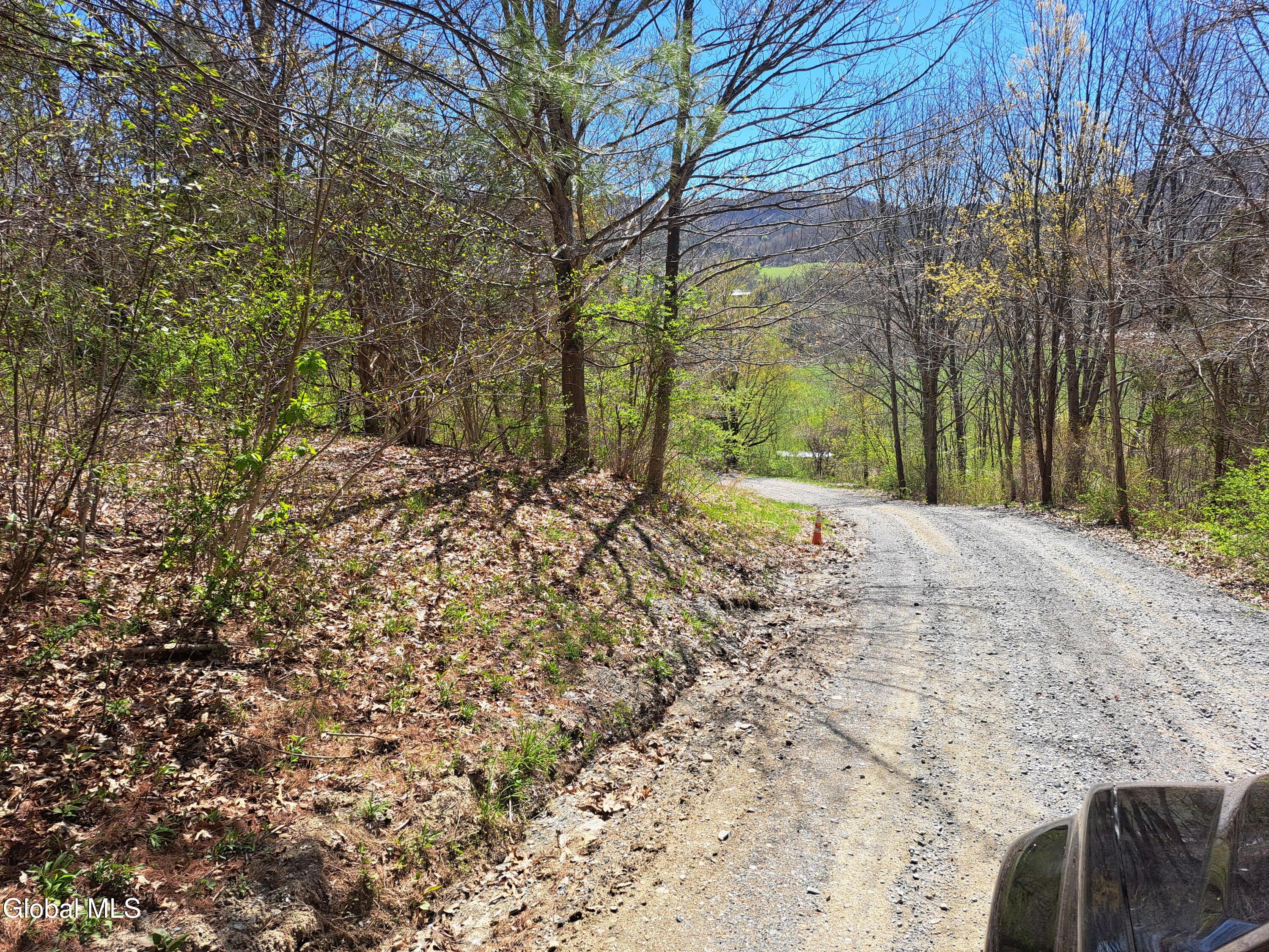 277 Breese Hollow Road Hoosick, NY 12089 - Photo 37 of 52 37 Gravel Driveway