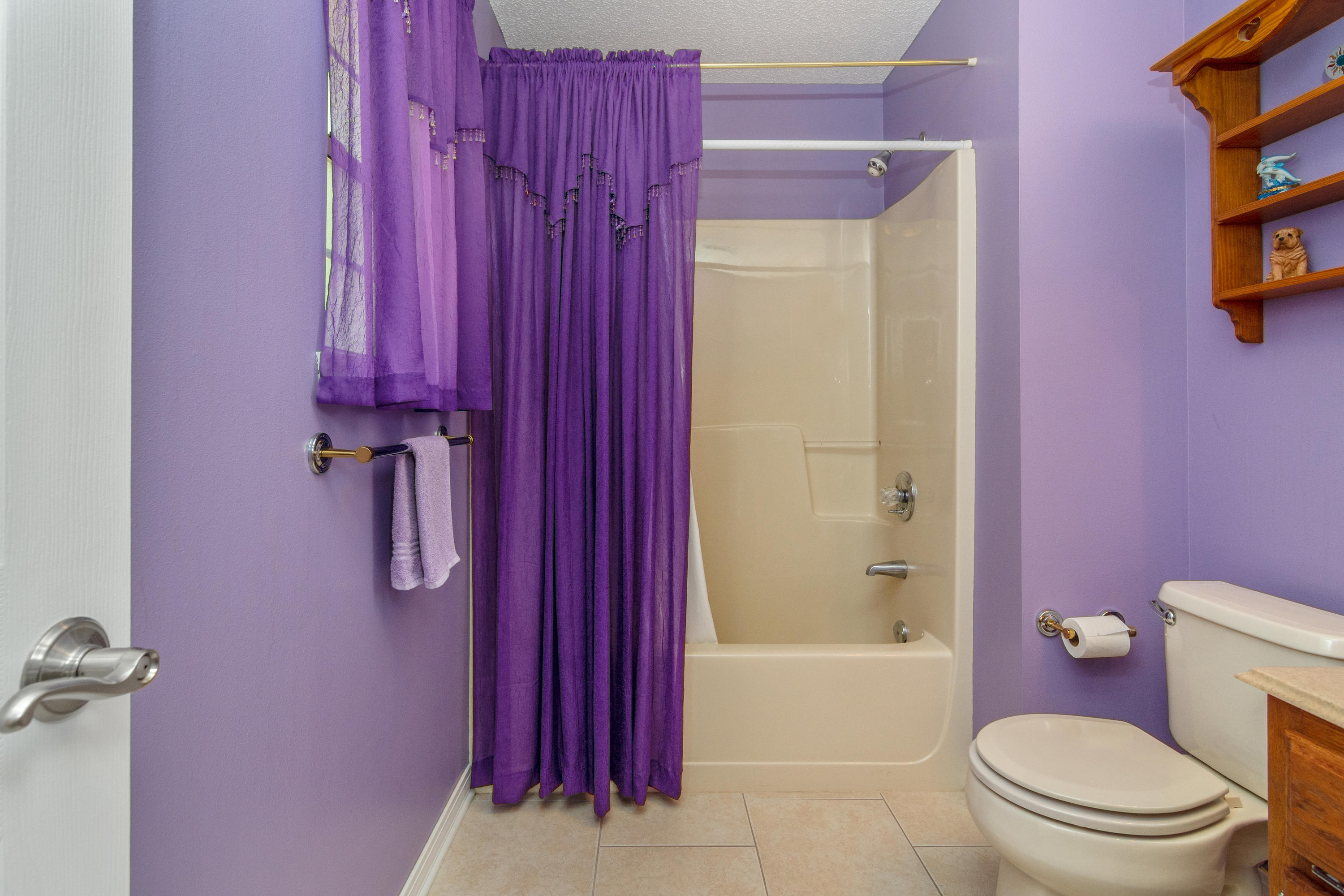 6151 Beasley Road Crestview, FL 32536 - Photo 42 of 49 a bathroom with a shower curtain a sink and a toilet