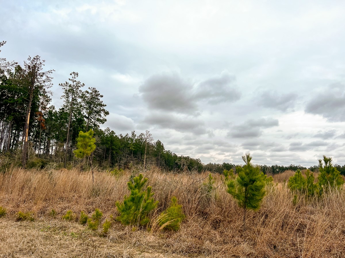 1 B Hardin Hideout Road Moscow, TX 75960 - Photo 10 of 14