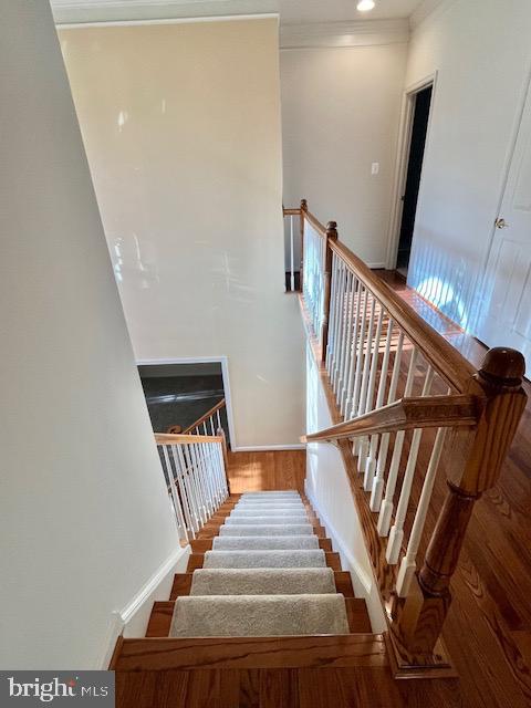 9308 Rustic Breeze Court Bristow, VA 20136 - Photo 22 of 53