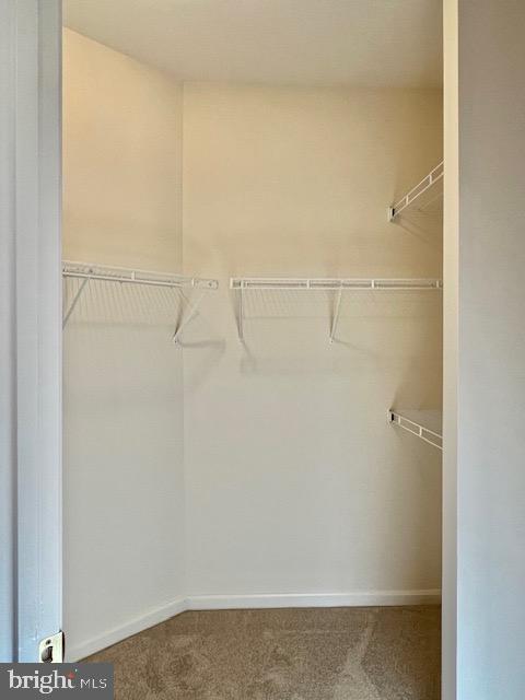 9308 Rustic Breeze Court Bristow, VA 20136 - Photo 28 of 53 Walk-in closet His