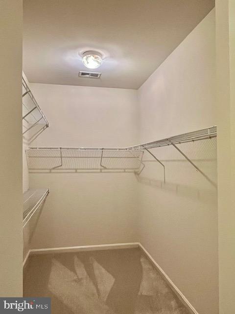 9308 Rustic Breeze Court Bristow, VA 20136 - Photo 29 of 53 Walk-in closet Hers