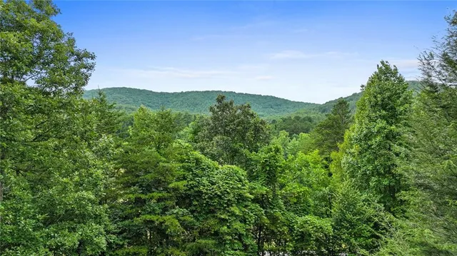 a view of a lush green forest with trees in the background