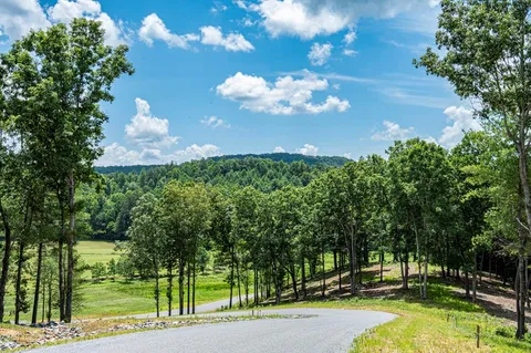 $79,000 | 151 The Ridges, Morganton, GA 30560